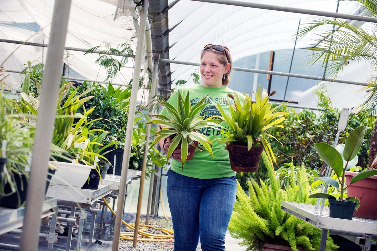 WVU Greenhouse grows love of horticulture among students, faculty
