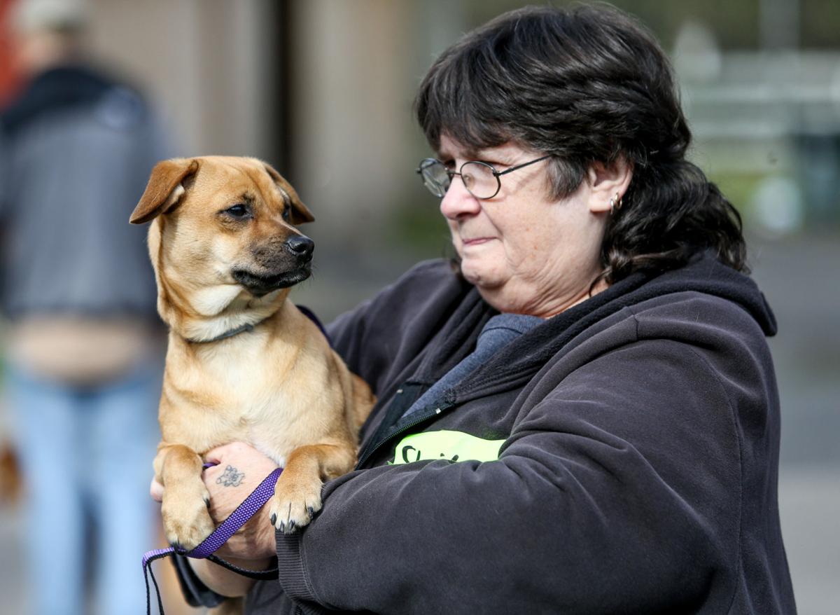 Photos Huntington Cabell Wayne Animal Shelter open house Multimedia