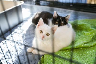 20241024_hd_shelter