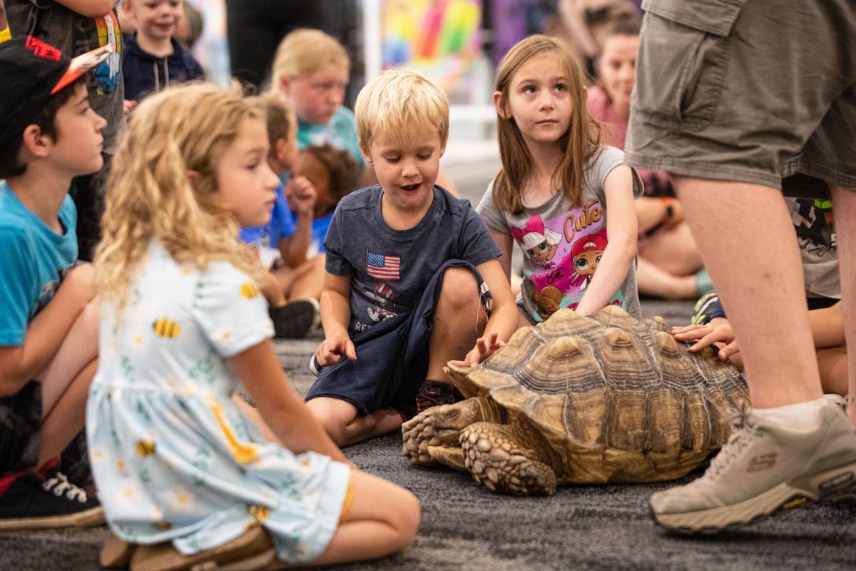 Huntington Mall hosts Turtle Day at Camp Marshmallow News