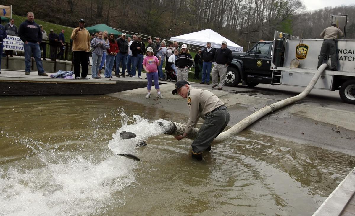 Anglers Ready For Fall Fishing As Kentucky Lakes Stocked With Rainbow Trout Outdoors Herald Dispatch Com