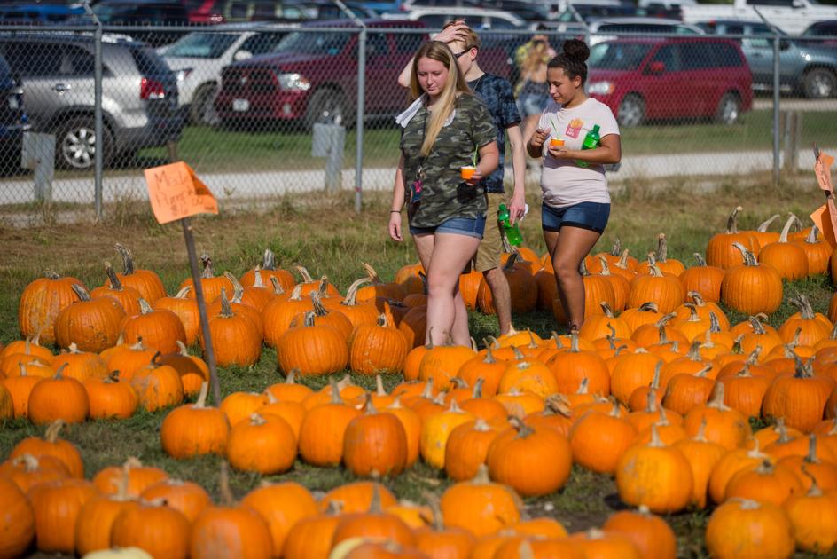 Pumpkin Festival to feature music, shows and more Features