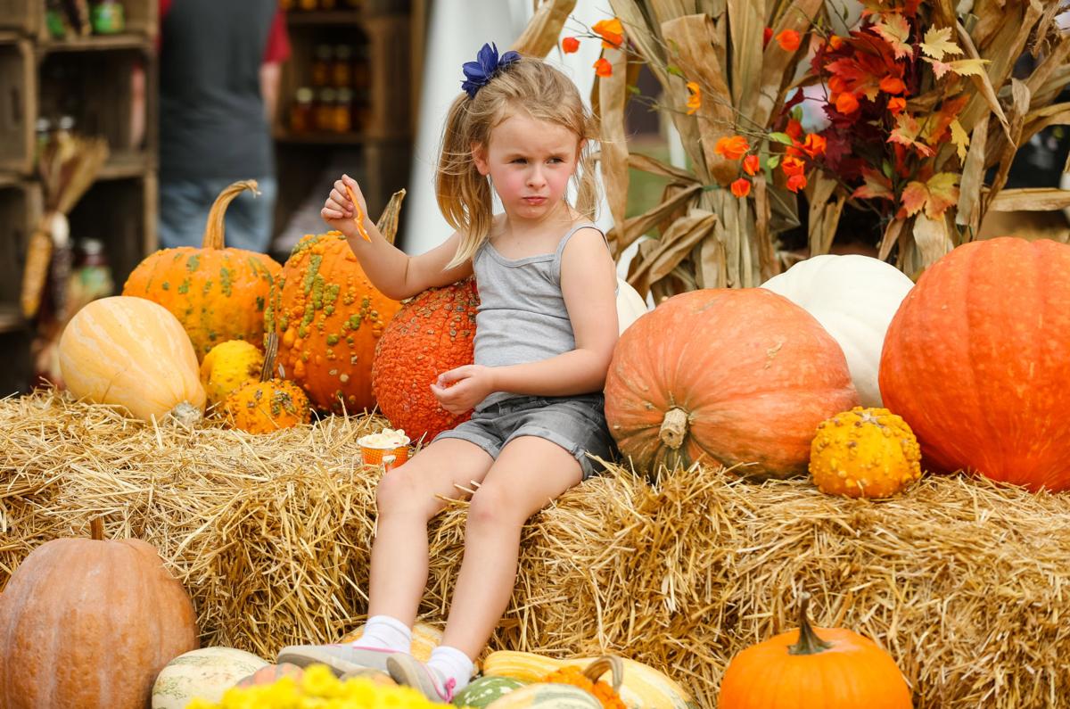 West Virginia Pumpkin Festival vendors keep tradition growing | News |  herald-dispatch.com