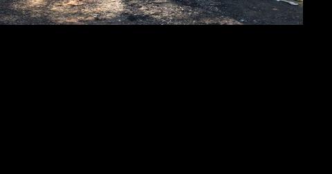 Police roundup: Reward offered for information on Gallia County fire - Vimarsana News