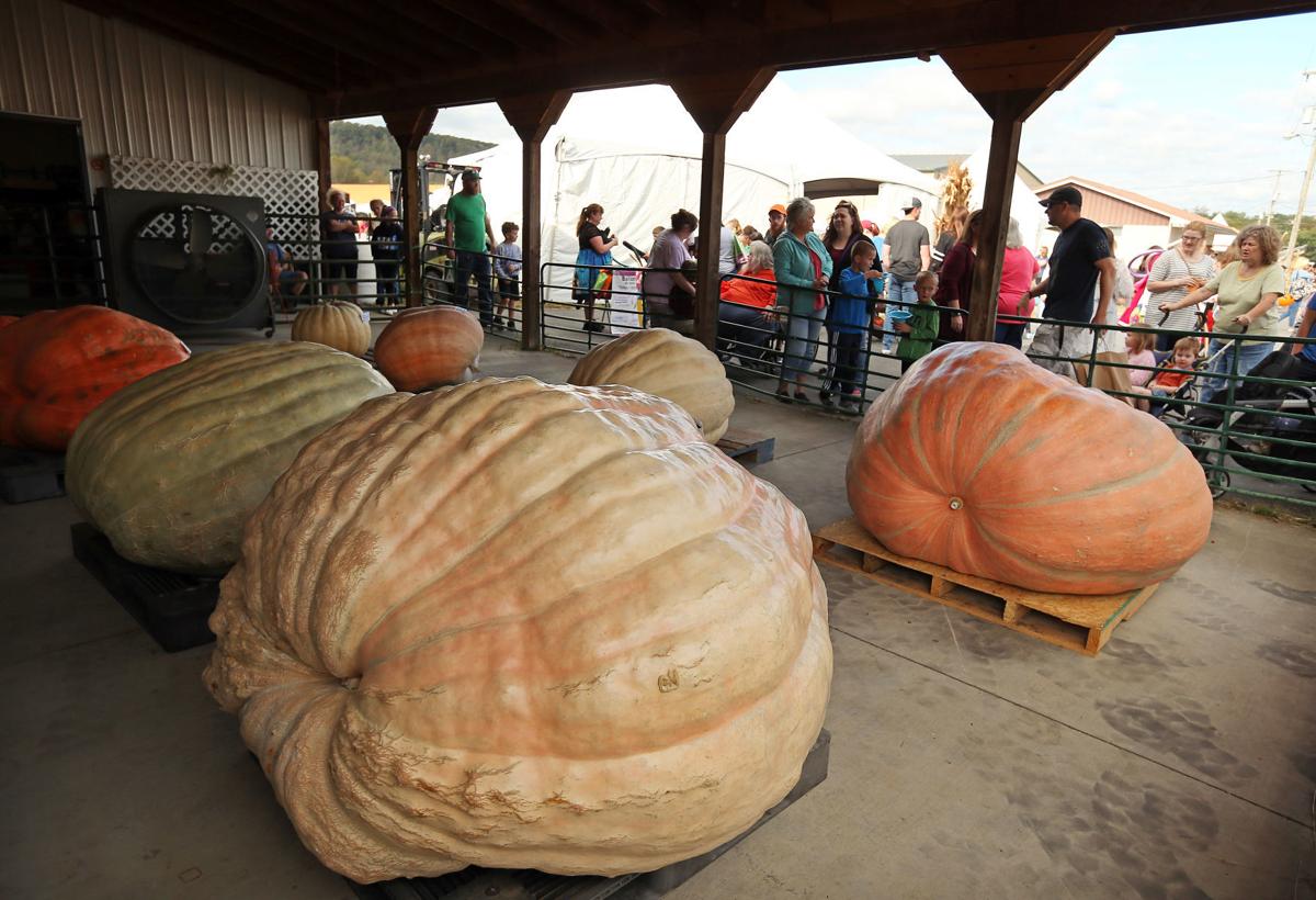 Photos WV Pumpkin Festival Multimedia