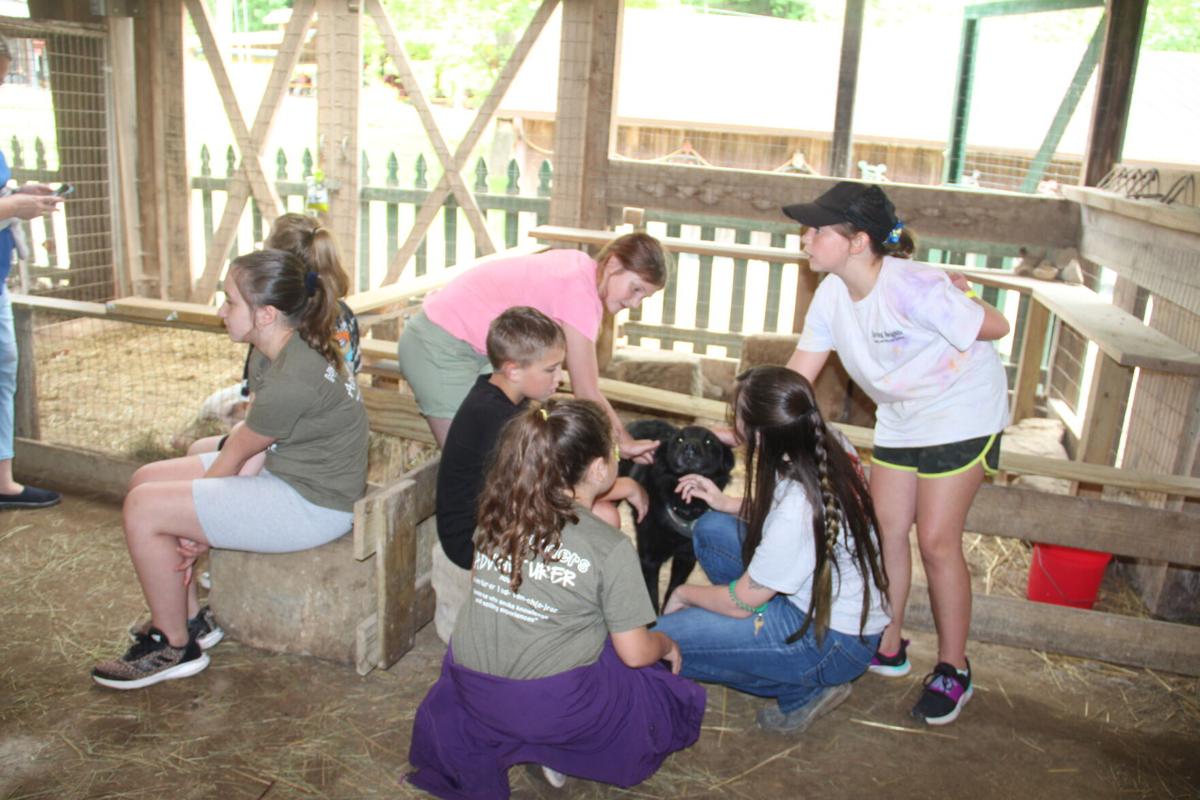 HiteSaunders uses COVID vaccine prize money for trip to Heritage Farm