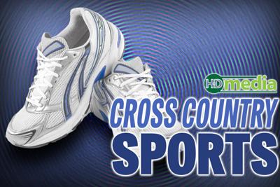 web icon cross country