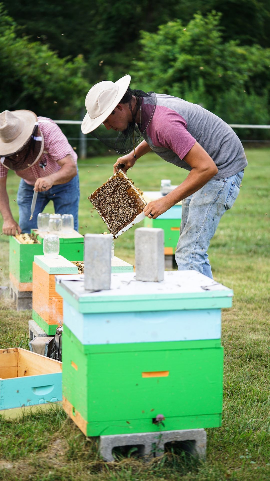 Black Beekeepers Are Reclaiming Their Relationship With the Land