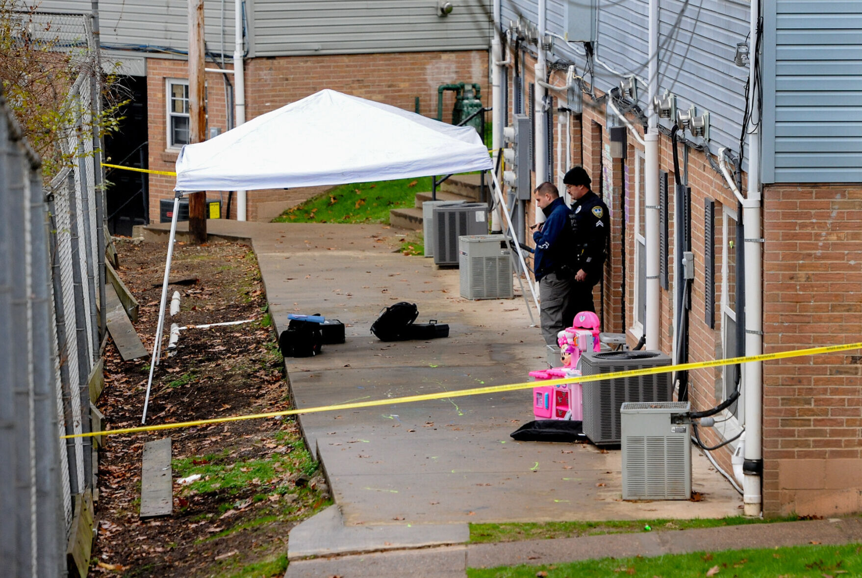 Man charged with murder in Charleston killing of his mother and a 10 ...