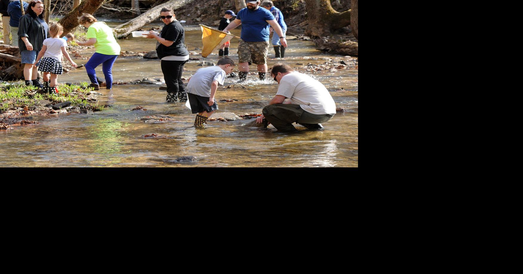Osbra Eye Spring Nature Walk takes place Saturday at KSF