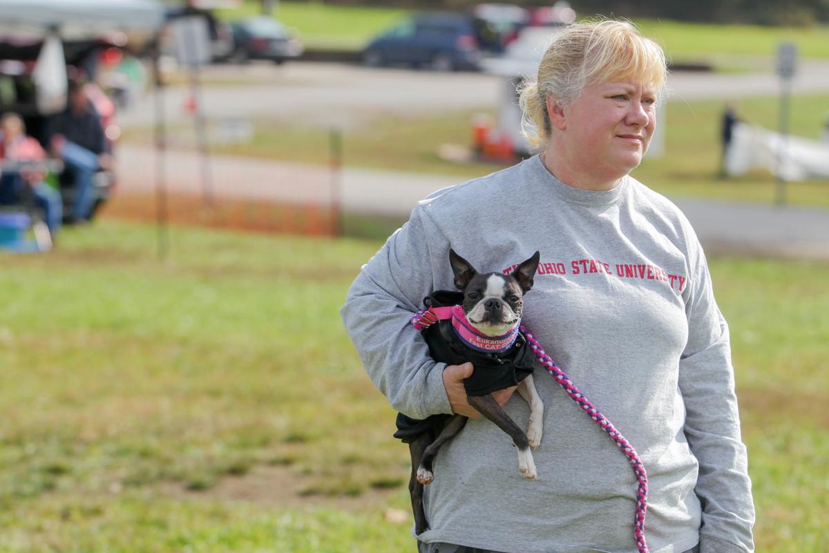 Photos Fast Cat Lure Course Event In Barboursville Multimedia