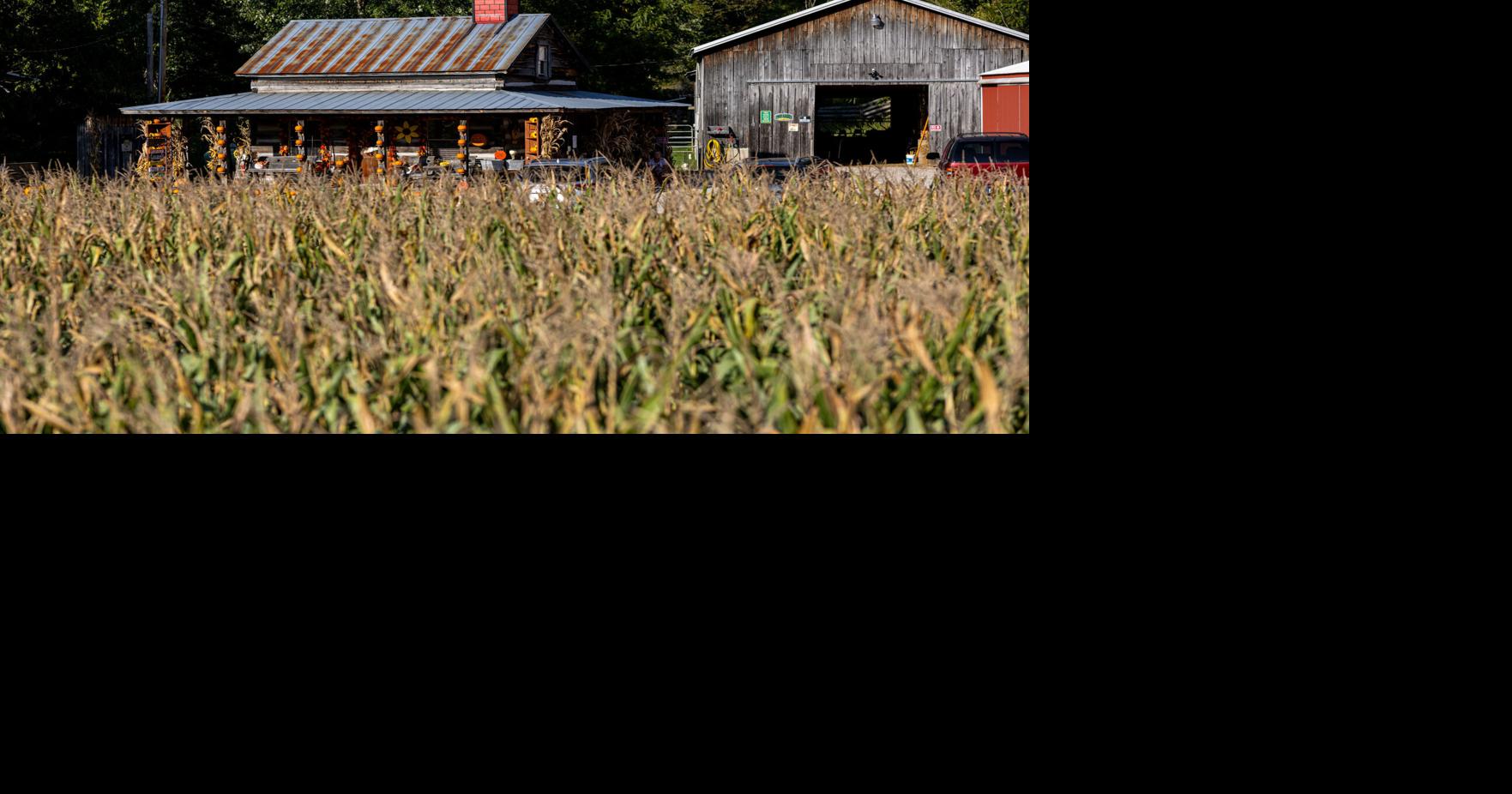 Lawrence County Honey Fest to shine a light on farming, agritourism in southern Ohio