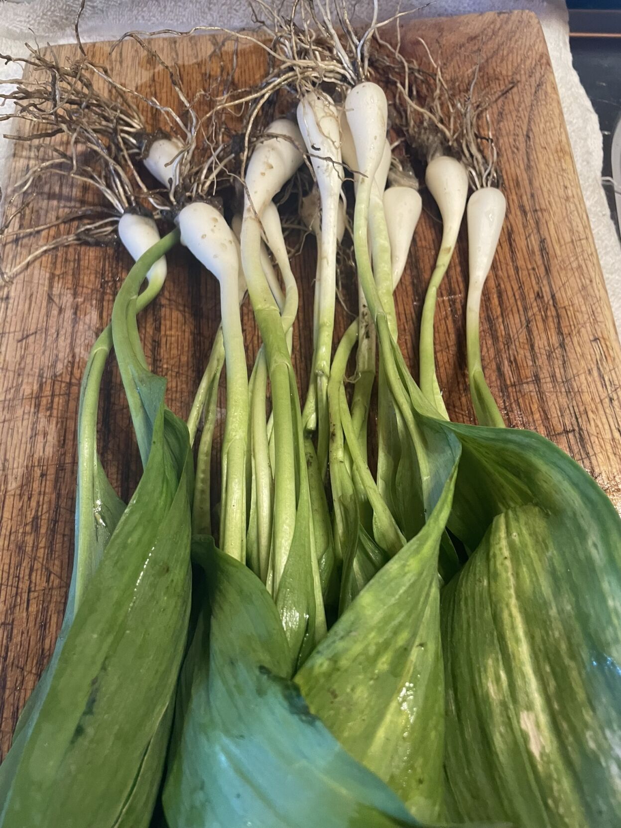 Ramps.JPEG