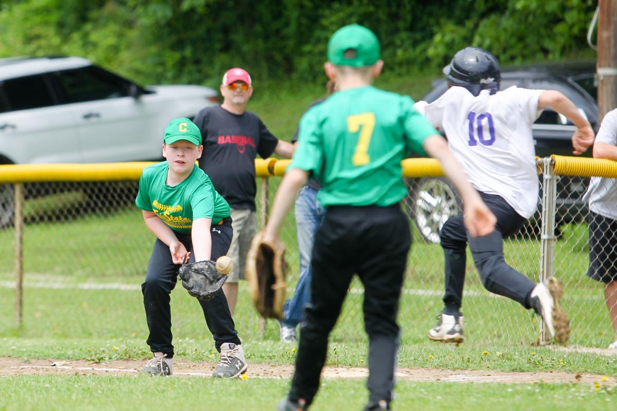 0602_youthbaseball