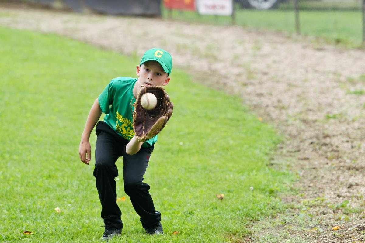 0602_youthbaseball