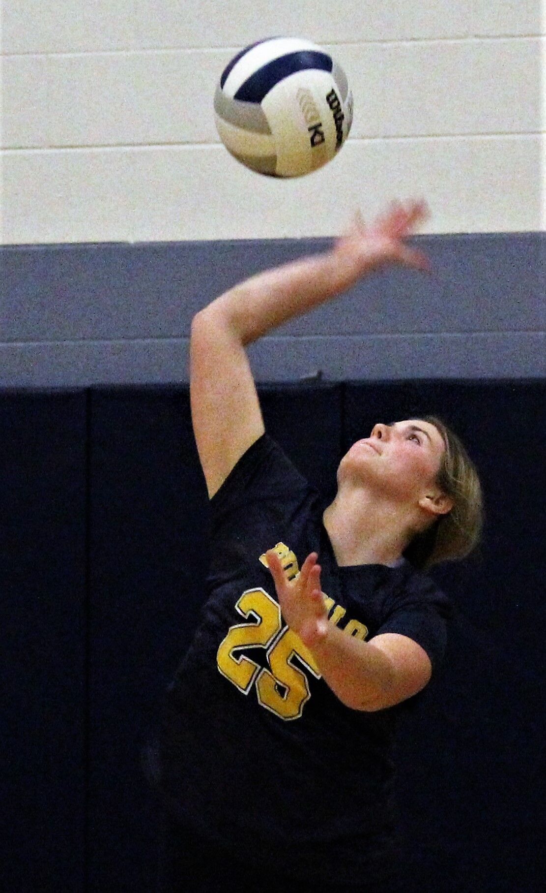 Battle in the Barn brings volleyball action to Buffalo Putnam News