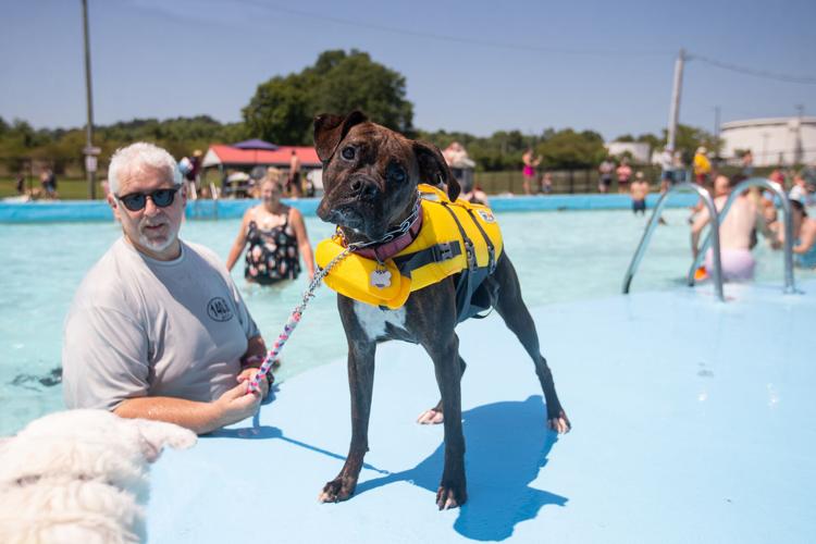 Photos 2023 Dreamland Pool Dog Swim Multimedia