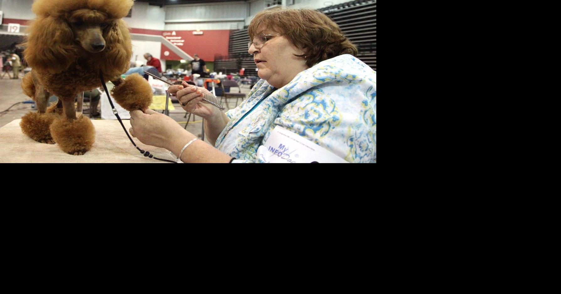 Dog show wraps up | News | herald-dispatch.com