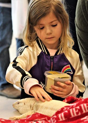 Scales on parade at WV Reptile Expo | Putnam News | herald ...