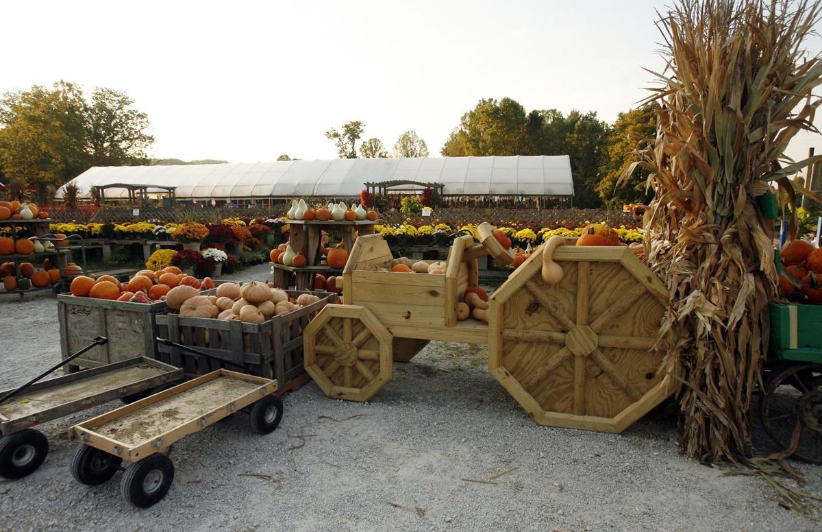 Gallery Imel’s Greenhouse and Supply Photos News