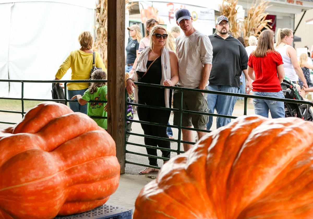 Though Fall Festivals Were Squashed Growers Raised Giant Pumpkins Anyway News Herald Dispatch Com
