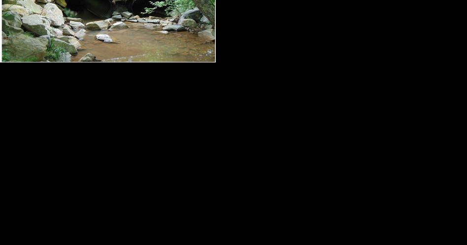 Environmental groups challenge Fish and Wildlife Service sign-off on Mountain Valley Pipeline - Vimarsana News