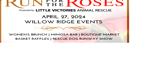 Little Victories no-kill animal rescue to host Derby-themed women's brunch fundraiser | Features/Entertainment - Vimarsana News