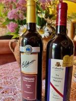 Vines & Vittles: Que Sera, Syrah!