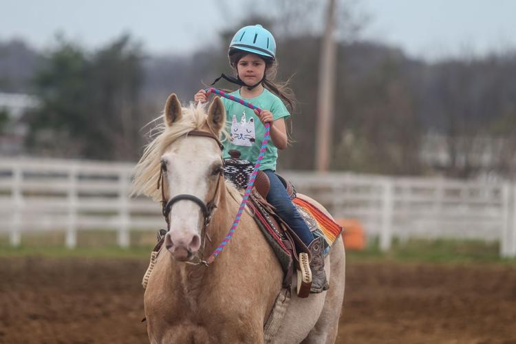 Photos Lawrence County Horseman’s Association horse show Photo