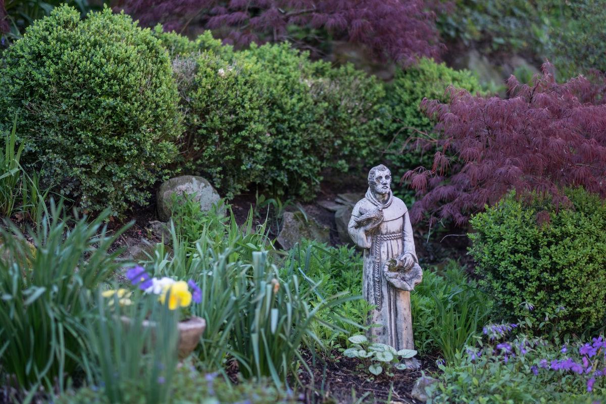 Morrisons Strive For Perennial Garden Always In Bloom Features
