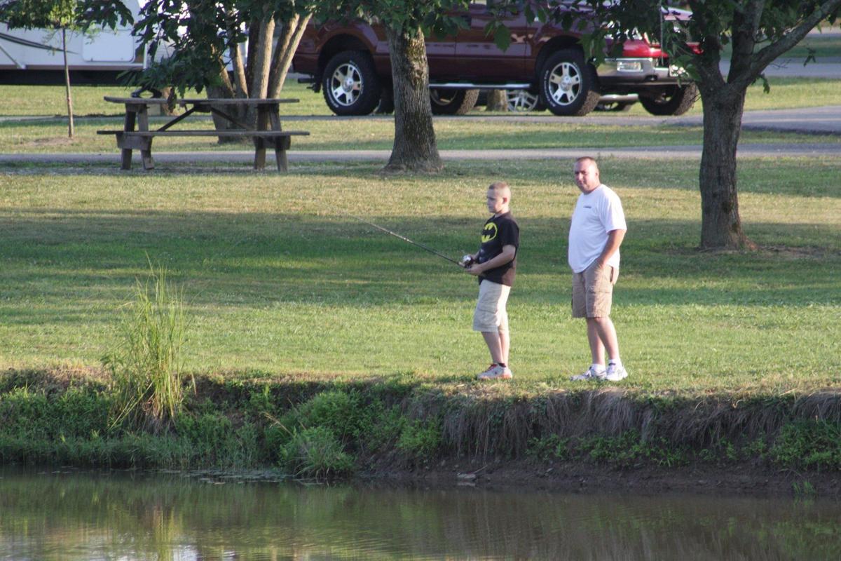 Gallery Beech Fork Marina Photos News