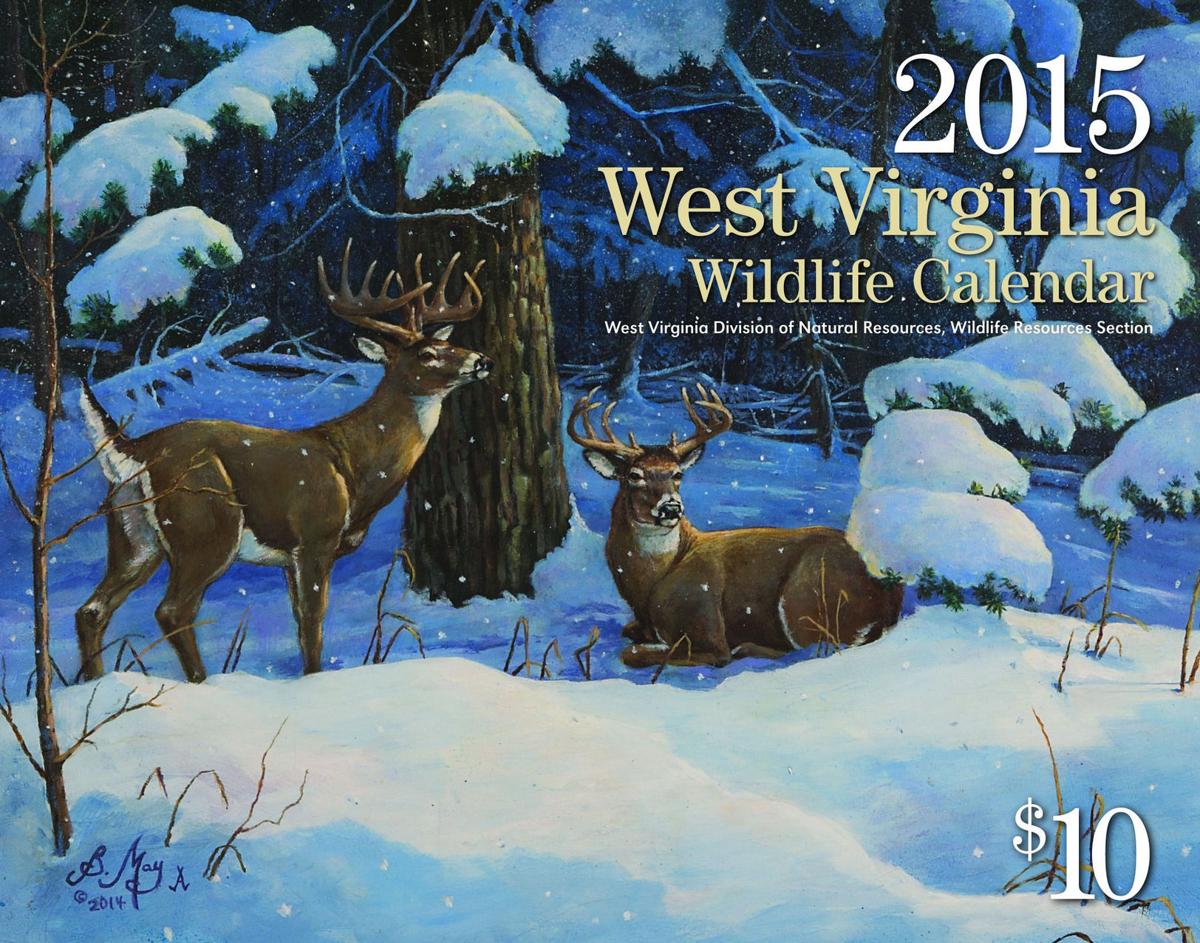 Wvdnr Seeks Paintings For 16 Wildlife Calendar Features Entertainment Herald Dispatch Com