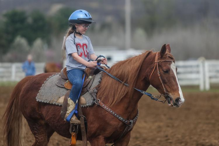 Photos Lawrence County Horseman’s Association horse show Photo