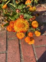 Stephanie Hill: Embrace kindness: New YearƵs resolutions for 2025