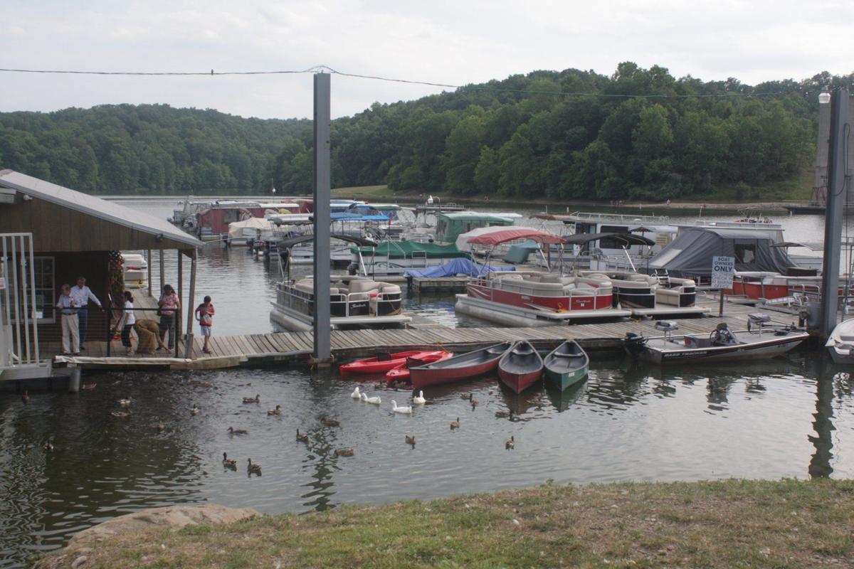 Gallery Beech Fork Marina Photos News