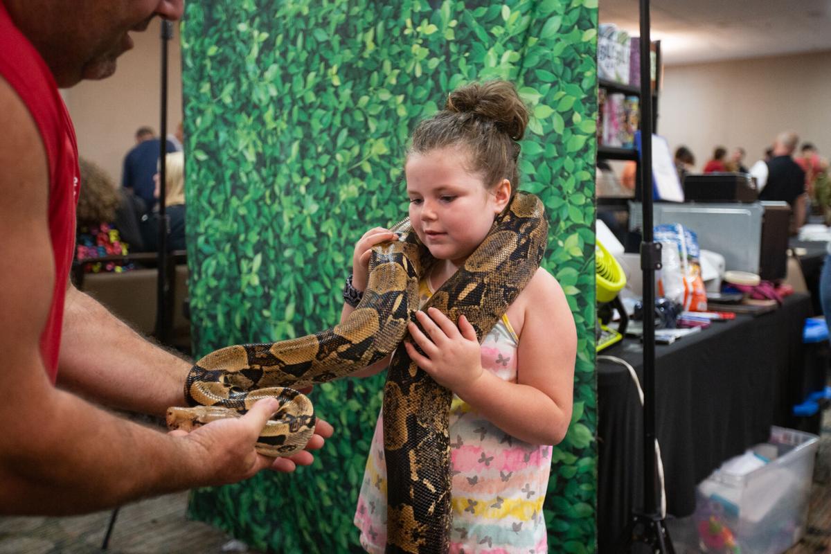 West Virginia Reptile Expo will return to Huntington this fall News