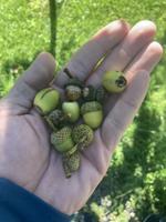 Chris Ellis: Looking forward to season by understanding food sources now
