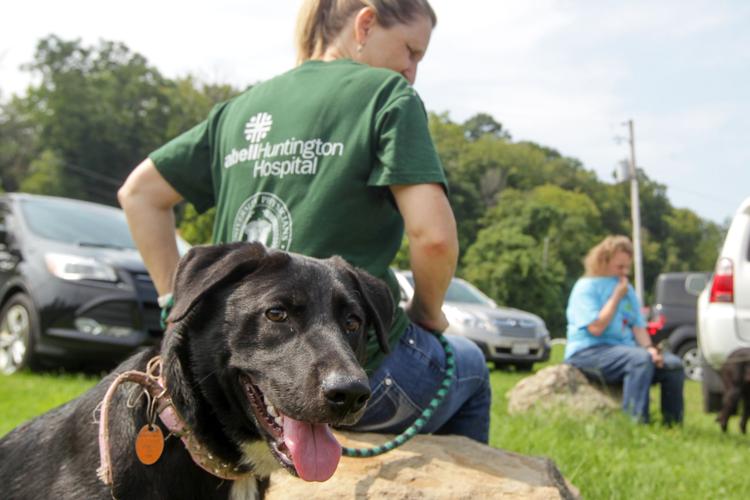 Photos Volunteers help Huntington Animal Control Multimedia herald