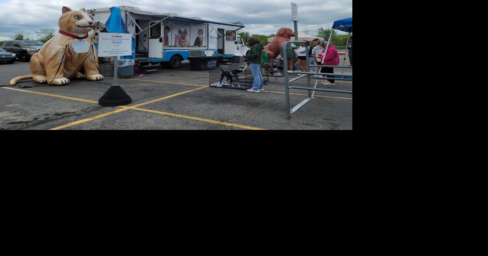 Ashland Animal Rescue Fund has a busy spring, gamer raises 3K for vet