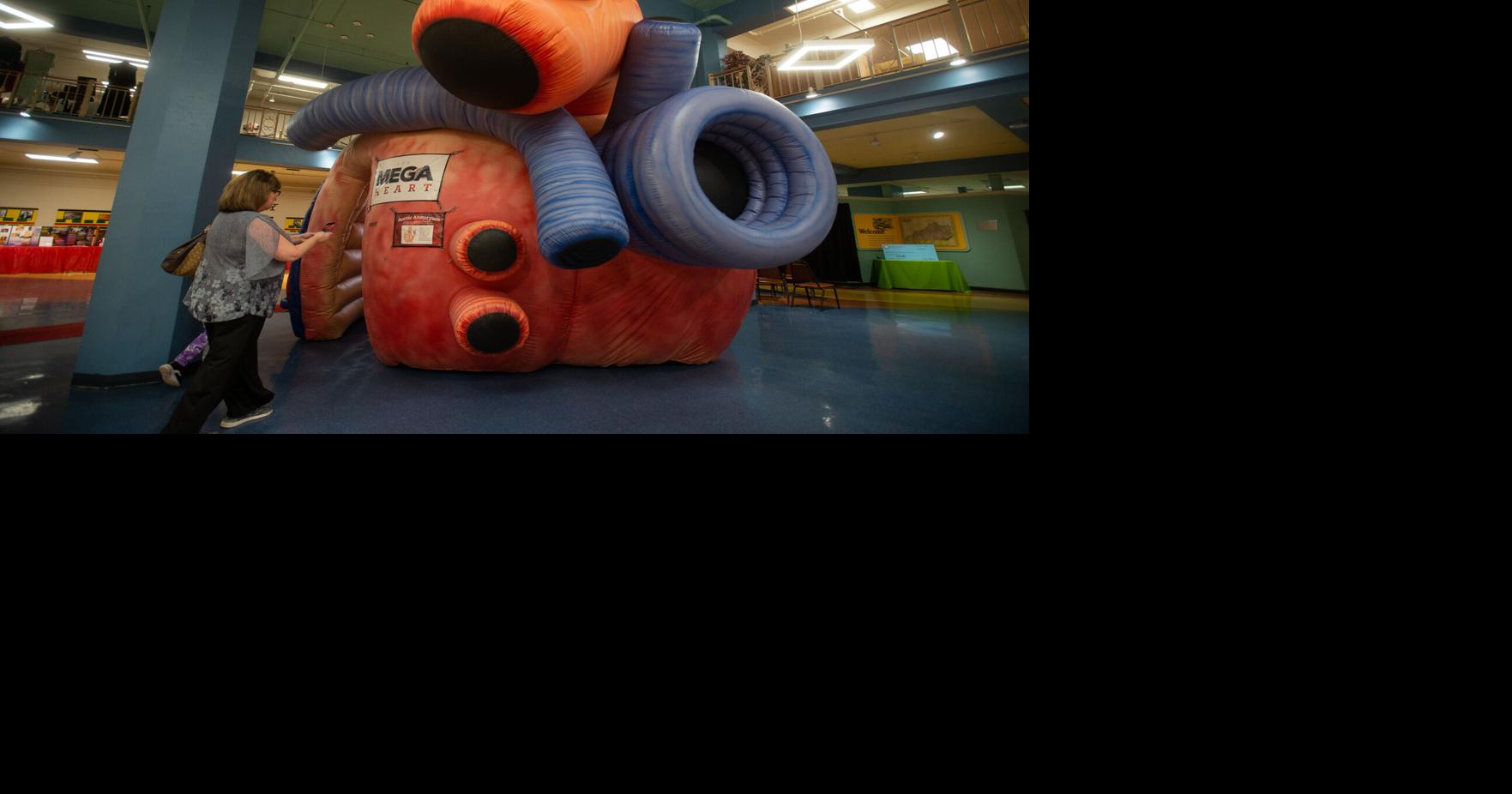 Photos: “Mega Heart” exhibit at the Highlands Museum & Discovery Center ...