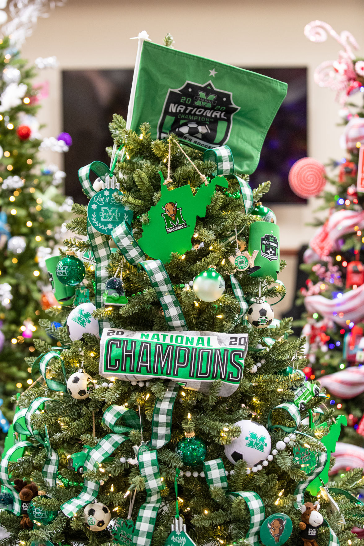 20211117 festivaloftrees 08.jpg