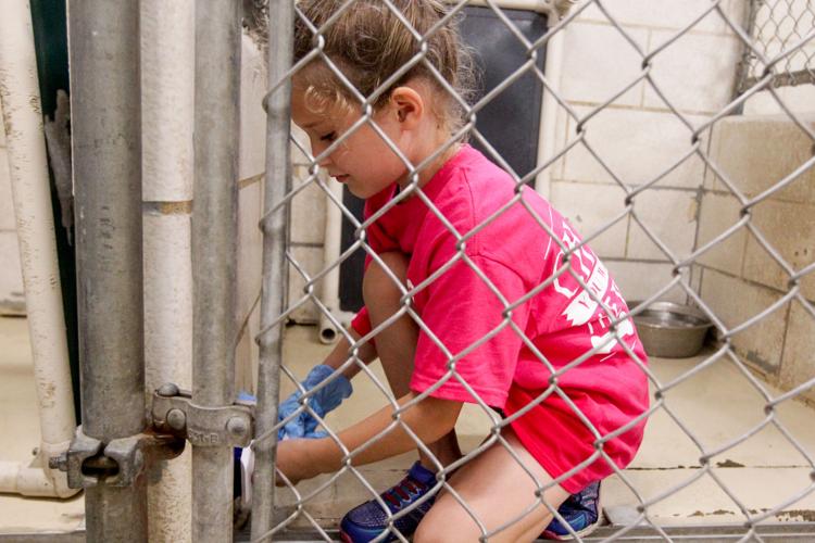 Photos Volunteers help Huntington Animal Control Multimedia herald