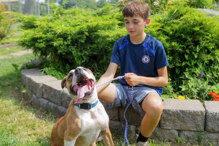 Photos Volunteers help Huntington Animal Control Multimedia herald