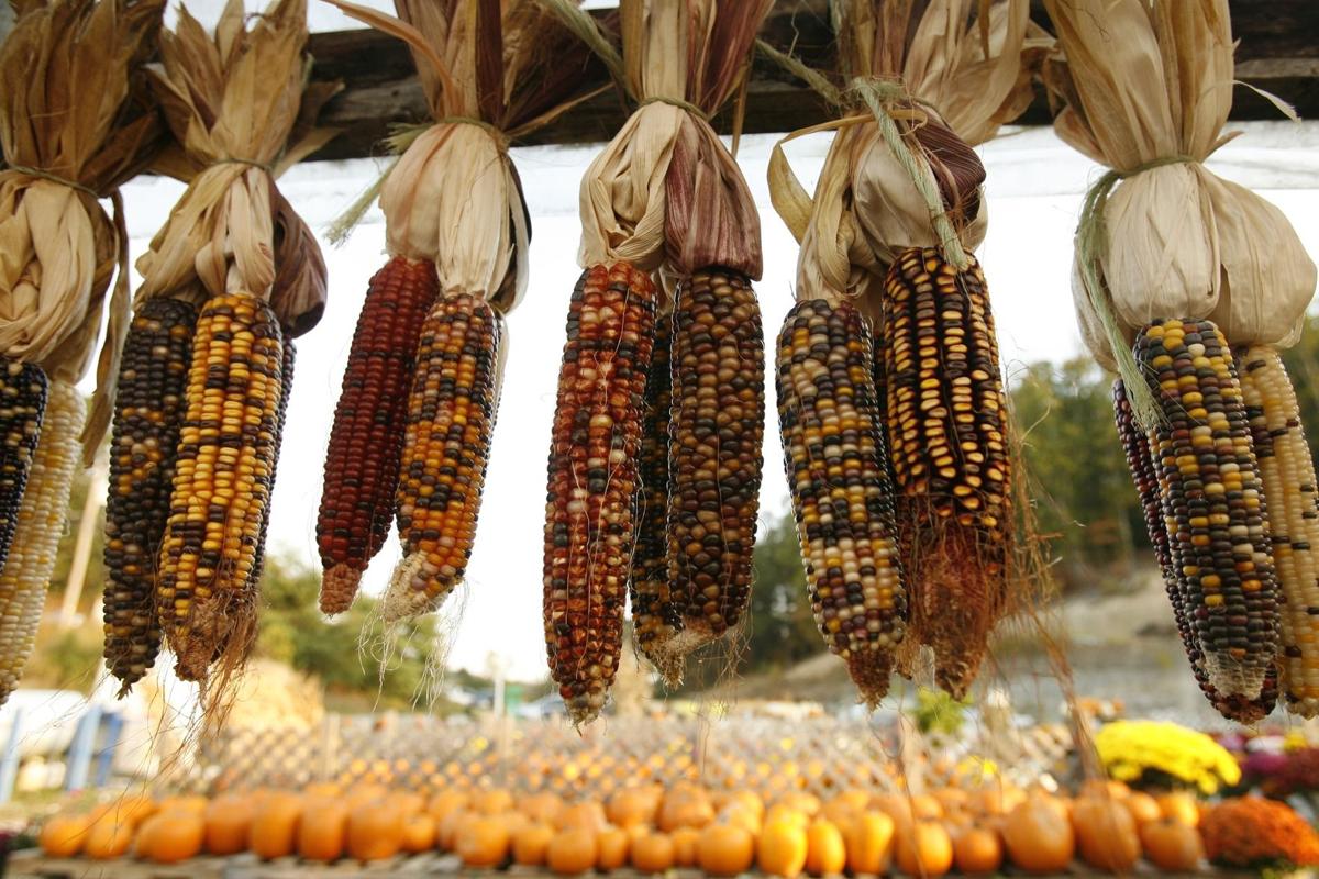 Gallery Imel’s Greenhouse and Supply Photos News