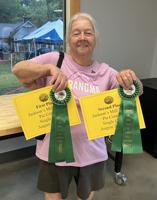 Jackson's Mill Jubilee calls for entries in annual pie contest