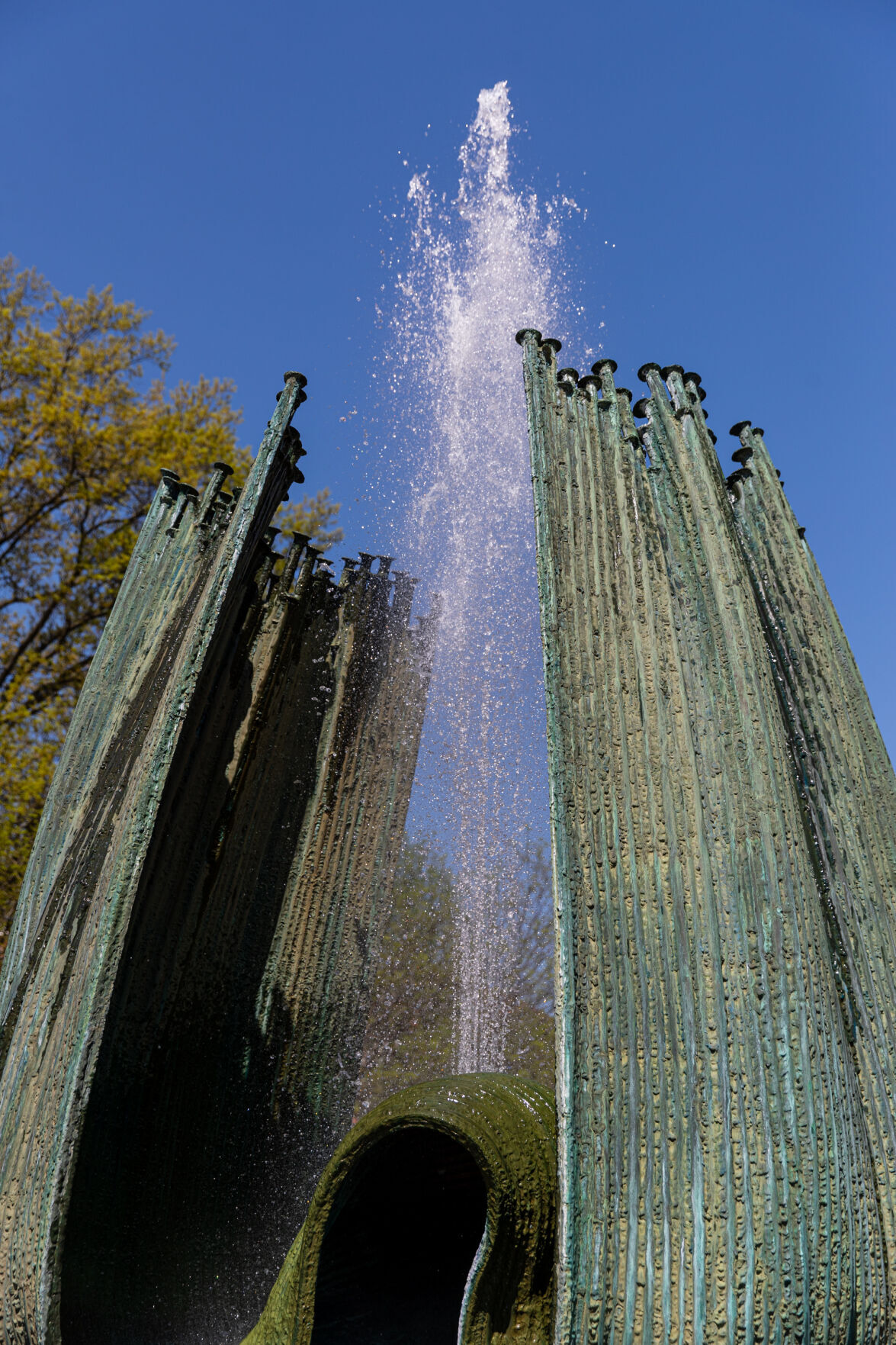 Photos Marshall Spring Fountain Ceremony 2022 Multimedia herald