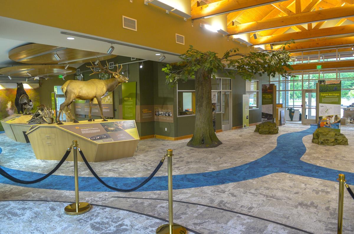Activities abound at Forks of Coal wildlife education center News