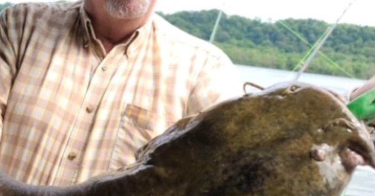 ROY RUSSELL WEEKLEY JR. | Wallace Funeral Home | herald-dispatch.com