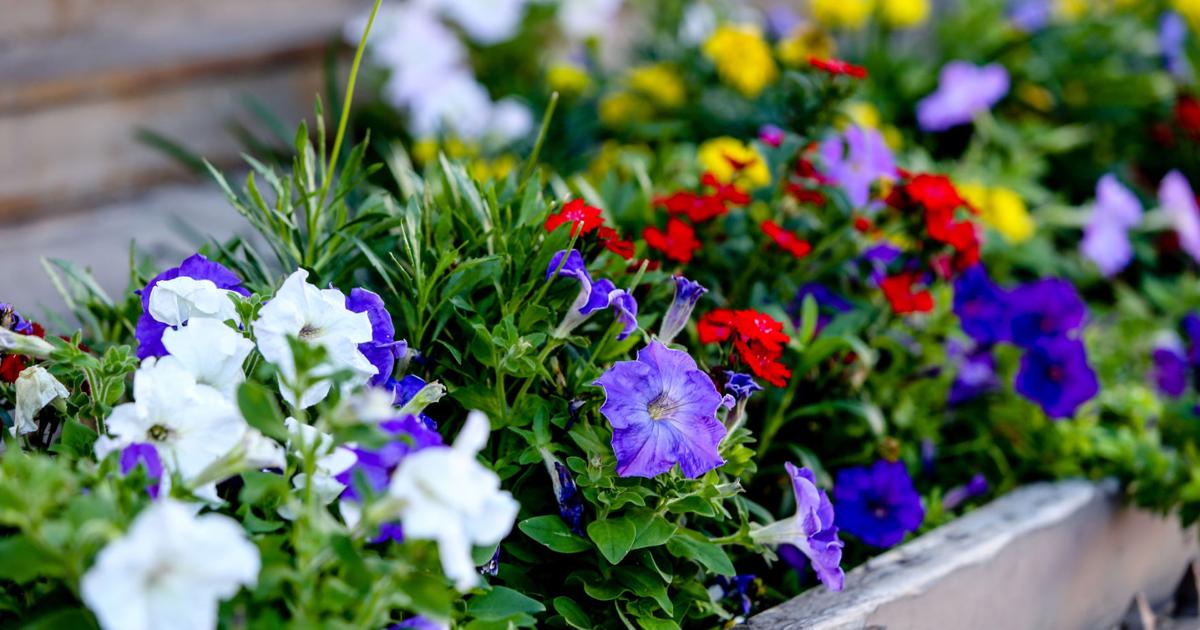 Editorial: Beautification programs gear up this weekend | Opinion ...