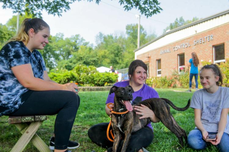 Photos Volunteers help Huntington Animal Control Multimedia herald